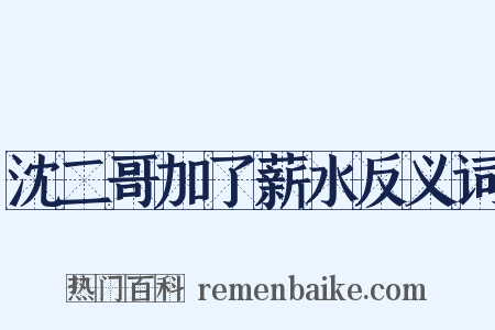 沈二哥加了薪水反义词是什么意思的图片